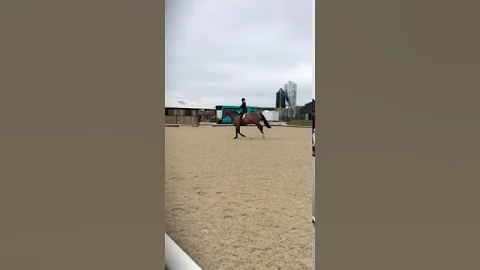 Part 1 SJ lesson with Karen Reuter Niklasson