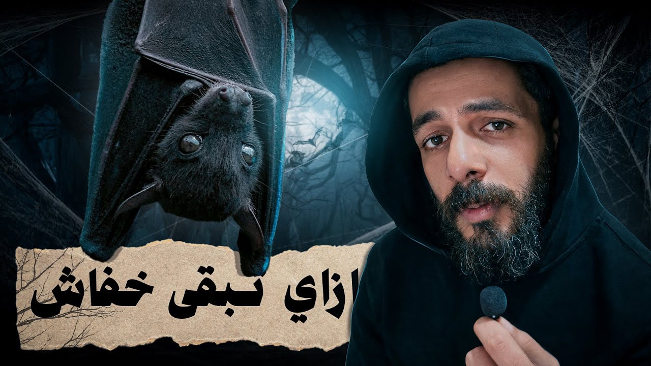 الحياة من وجهة نظر الخفاش