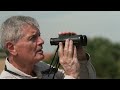 Der tragische Tod vieler Störche | hessenschau DAS THEMA