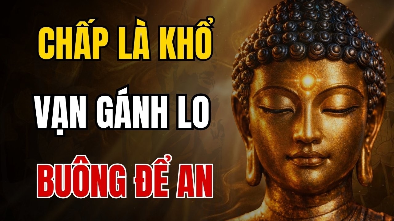 Lời Phật Dạy: 15 Phút Nghe Mỗi Tối Cho Người Đang 