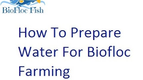 Biofloc Water Preparation "How To Use Probiotic"