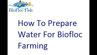 Biofloc Water Preparation "How To Use Probiotic"