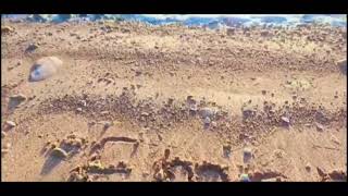 Writing the name of Eman on the sand of the sea️️كتابة اسم إيمان على رمال البحر