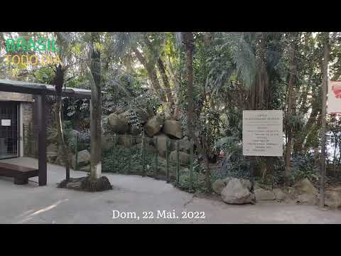 BRASIL TODO DIA (2022) Gruta Alphaville - YouTube