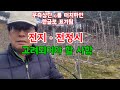 정지전정시 고려할 사항