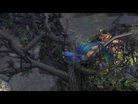 アイス ボーン ブルー ディーヴァ アイス ボーン ブルー ディーヴァ