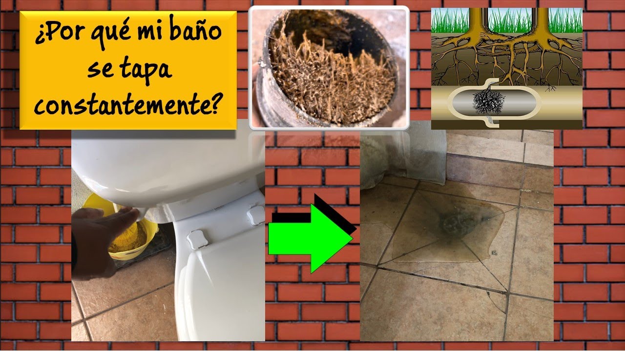 Como destapar el baño de mi casa que se tapa constantemente | drenaje ...