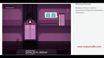 How to play - Lumosity - Memory Serves