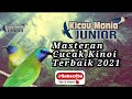 Masteran Cucak Kinoi Terbaik 2021 - Roll Tembak Tajam Untuk Burung Lomba!!!