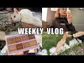 ♡ WEEKLYVLOG EP.2｜第一次處理路中央過世的貓咪、泥巴終於回家了、與男友的交換禮物｜