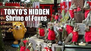 Tokyo’s Akasaka & Hidden Fox Shrine | Toyokawa Inari Betsuin