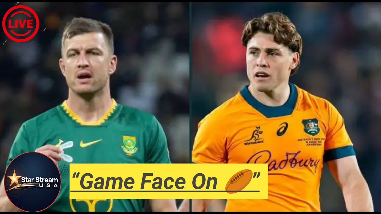 Springboks v Wallabies preview: ‘Built-up hatred’ to edge Rassie Erasmus’ charges to victory in