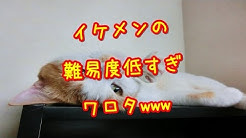 2ちゃんねる 笑える話 長編 短編 妄想系 2ch Youtube