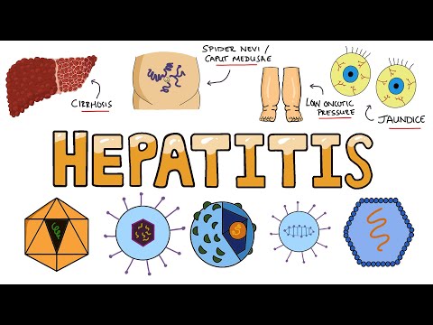 Video: Acute Hepatitis - Oorzaken, Symptomen, Typen, Diagnose En Behandeling Van Acute Hepatitis