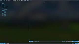 Programming. Git internals II. Part A  (Lecture 2 / 2021-03-14)