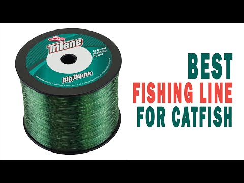 Best Fishing Line for Catfish in 2023 - Top Quality Fishing Line