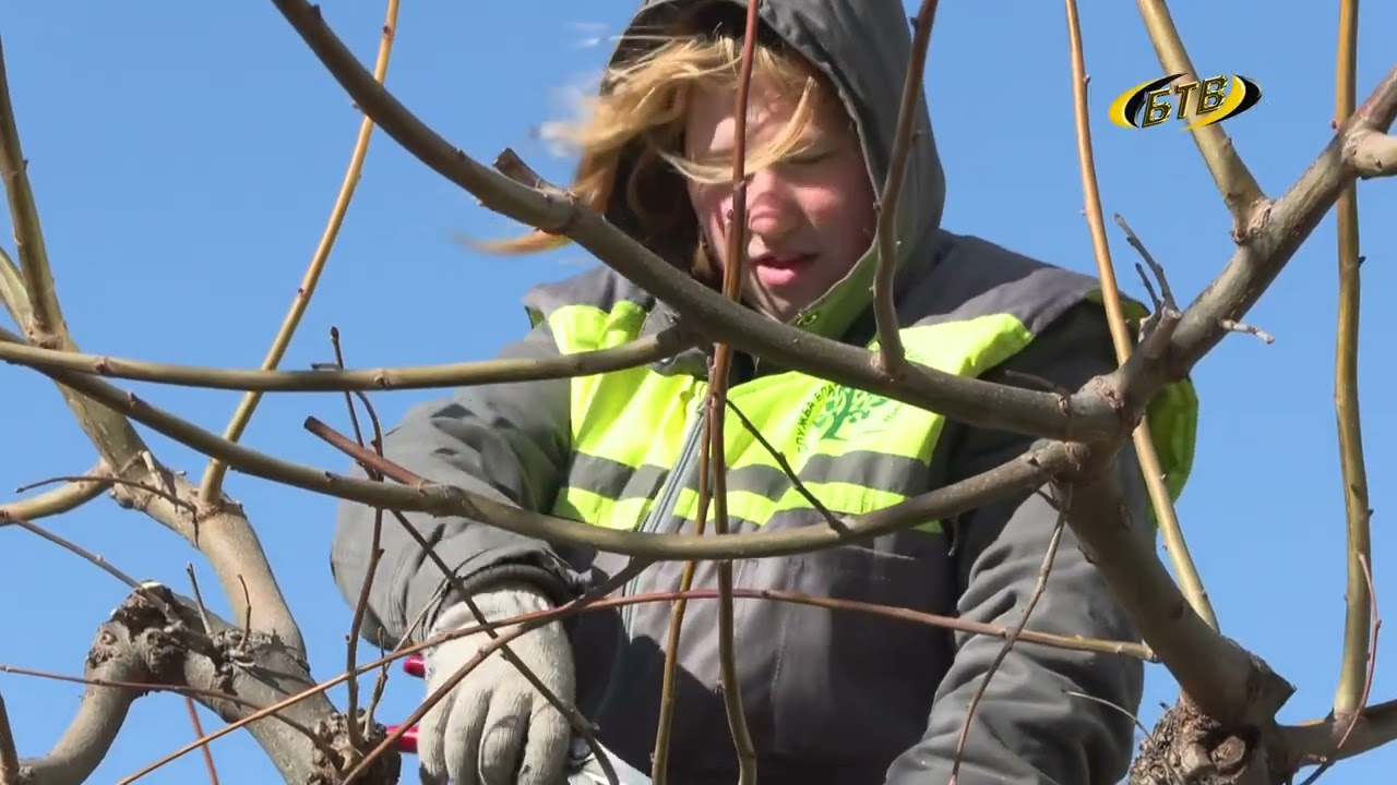 Зеленый сезон стартовал