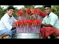 500 VISHU ROCKETS | 500 റോക്കറ്റ്സ് ഒരുമിച്ച് കത്തിച്ചപ്പോൾ |