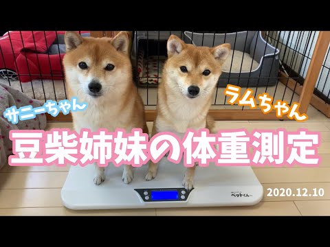 Sunnyrum Channelのユーチューブ Youtuber665 Sunnyrum Channelのユーチューブ Youtuber665