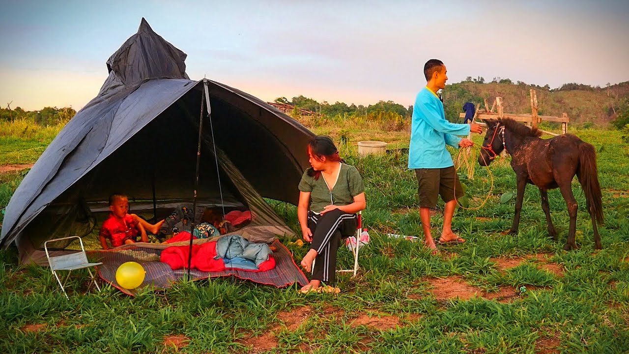 พาลูก2เมีย1หลาน1 ขนม้าไอ้ไก่ย่างไปแคมป์ครั้งแรก 7ชีวิตบนเขา1คืนหญ้าเขียวสบายใจสบายตา