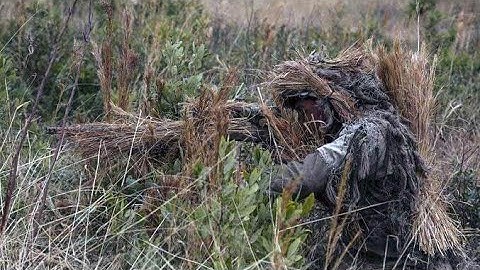 9 ELEMENTS OF VISUAL PERCEPTION