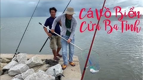 Câu cá biển// Câu cá vồ biển, câu cá ngát tại của biển ba tỉnh/ fishing @giangngofising