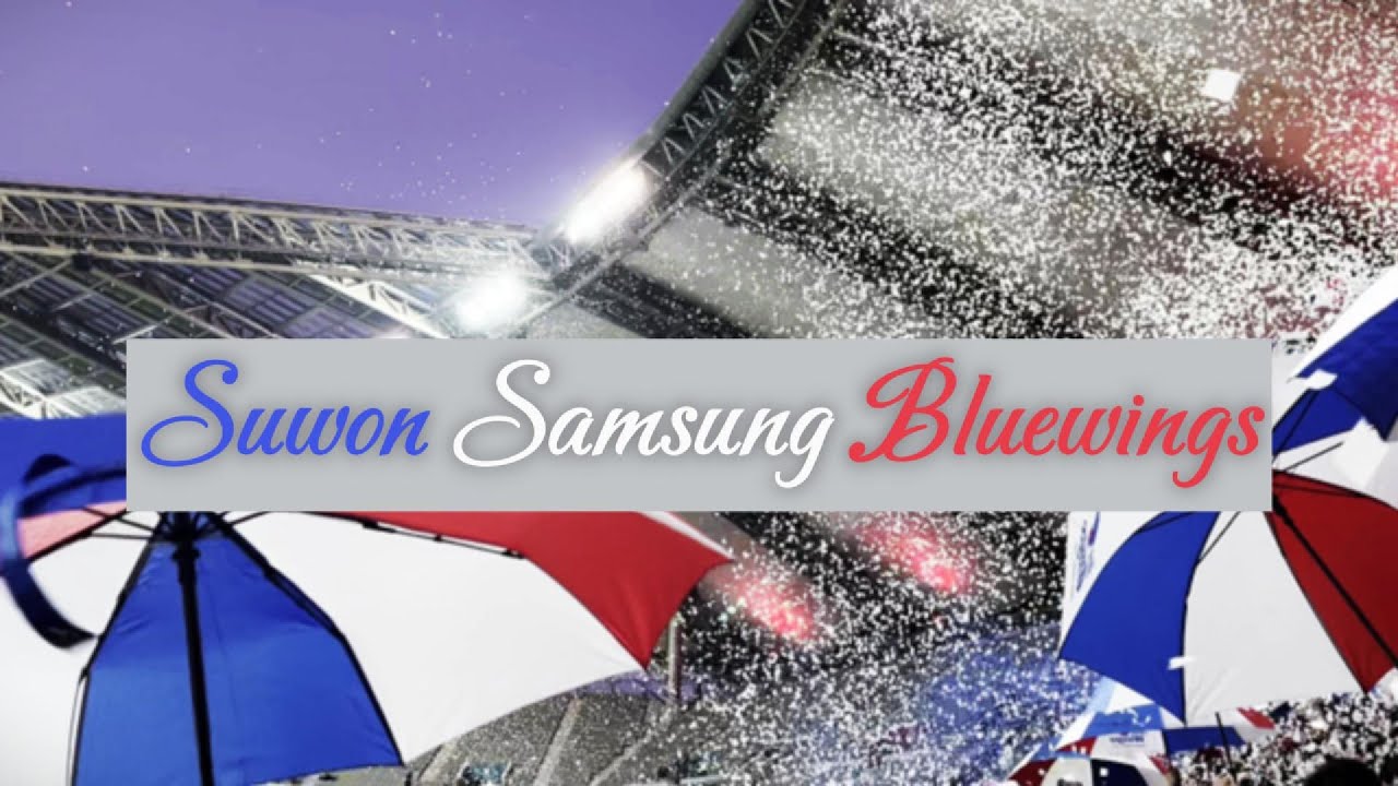 231125 수원삼성블루윙즈 프렌테트리콜로 서포터즈 응원가 모음ZIP(가사포함)(Vamos, 블루서브마린, 수원의꽃이여, 이사랑은변하지않아 )(K리그응원직캠)(현장반응)