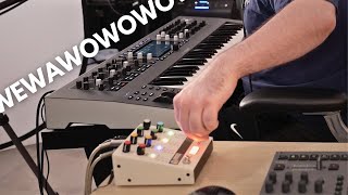 Synth Goes &quot;WEWAWOWO&quot;