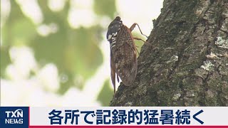 各所で記録的猛暑続く（2020年8月22日）