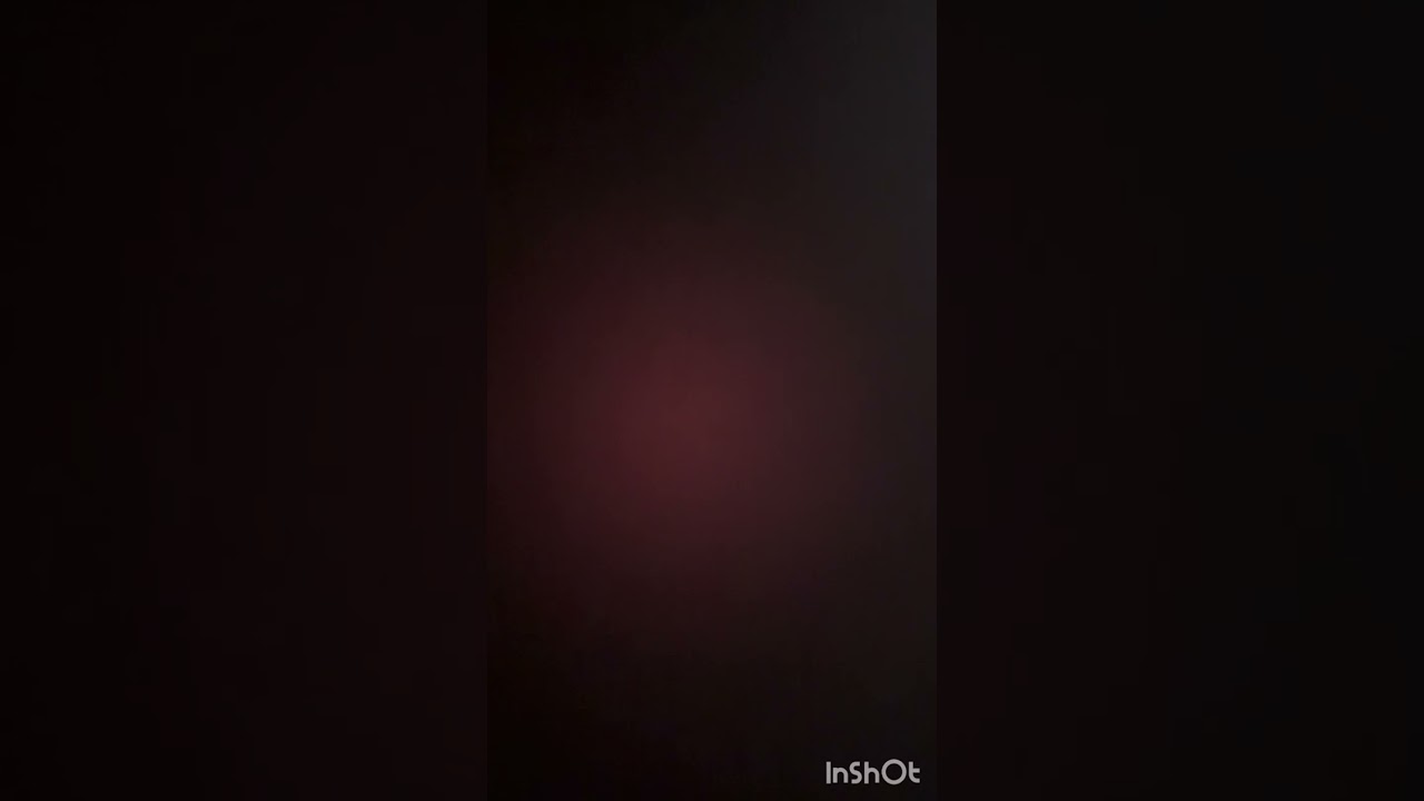 28 февраля 2026 г.