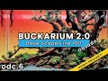 BUCKARIUM 2.0 - Oase ScaperLine 100 odc. 6 Obsada