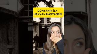 Dünyanın İlk Hayvan Hastanesi Osmanlı’da Açıldı! 🕊️🏛️ #history #tarih #facts #ilginç  #keşfet