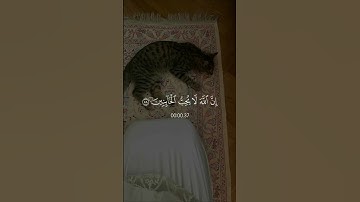 سورة الأنفال - سعد الغامدي