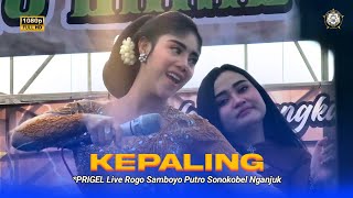 Download Mp3 PRIGEL ANJARWENING❗❗VIRAL LAGU KEPALING ROGO SAMBOYO PUTRO FT PRIGEL LIVE NGANJUK PELANGI AUDIO Gudang lagu Download Mp3 PRIGEL ANJARWENING❗❗VIRAL LAGU KEPALING ROGO SAMBOYO PUTRO FT PRIGEL LIVE NGANJUK PELANGI AUDIO