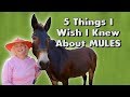 5 Things I Wish I Knew About MULES