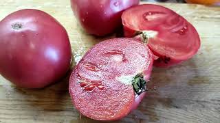 видео: Сорта томатов Ч.8 Туфельки султана ,Тидвел немецкий ,Слоновье сердце картинка: Сорта томатов Ч.8 Туфельки султана ,Тидвел немецкий ,Слоновье сердце