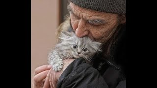 Kindness Will Save the World!  Funny video with cats and kittens for a good mood!