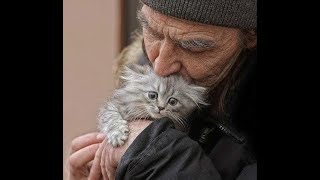 😺 Kindness Will Save the World! 🐈 Funny video with cats and kittens for a good mood! 😸