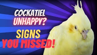 Is Your Cockatiel Unhappy? Signs of Stress & Seasonal Blues (COMPILATION)