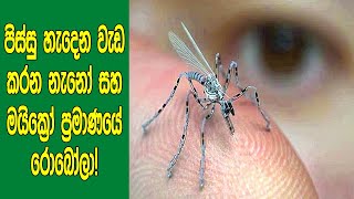 පොඩි උනාට මහා ලොකු වැඩ කරන ලෝකයේ පොඩිම රොබෝලා බලන්නකෝ! | Amazing TINY Micro and Nano Robots