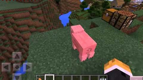 Mcpe Gravity gun mod [0.11.1]