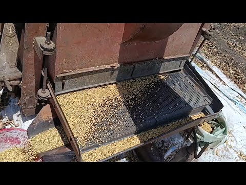 اسعار الفول الصويا اليوم وشوف ذيادة الإنتاج تخلي الغربال يرمي علي الناحيتين