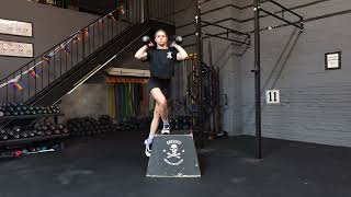 Dual DB Front Rack Lateral Box Step Over