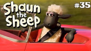 Tidy Up | Shaun the Sheep Season 1 | Full Episode Resimi