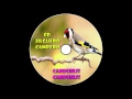 CD Canto Jilguero Campero / 2016
