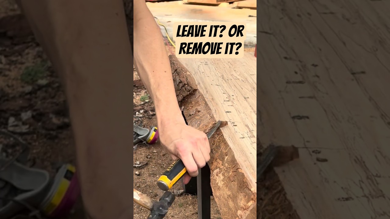 Should You Keep the Bark on a Live Edge Slab? #shorts #woodworking #liveedge