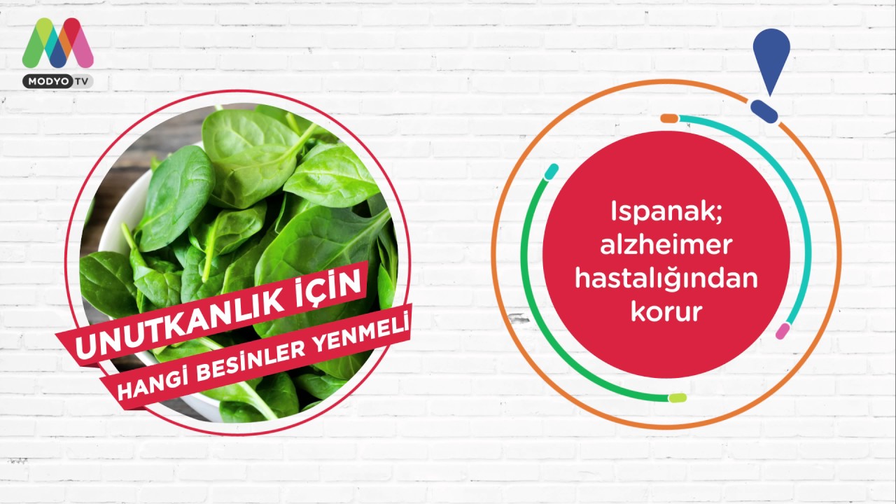 Unutkanlık İçin Hangi Besinler Yenmeli Unutkanlık İçin Hangi Besinler Yenmeli