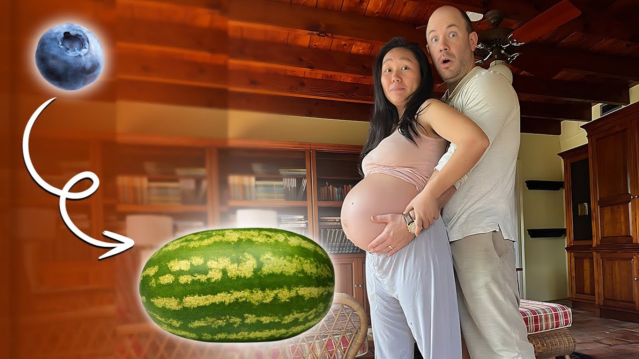 Pregnancy Dance | Week by Week Baby Size Progression (Part 2)