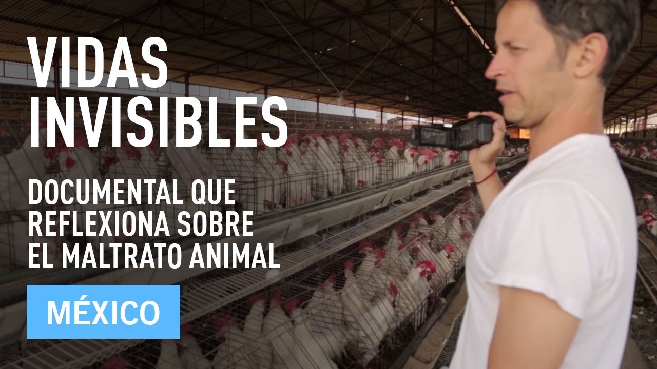 igualdad animal empleo Vidas Invisibles
