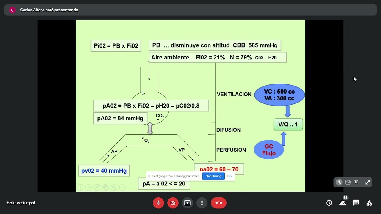 CLASE 28 Función pulmonar Dr Alfaro